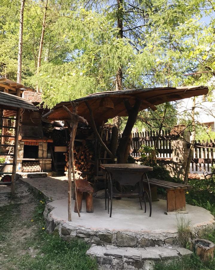 Отель Vatra